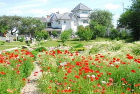 Maison Blanche Ecohousе, Mytnytsya